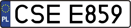 CSEE859