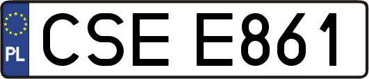 CSEE861