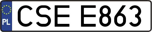 CSEE863