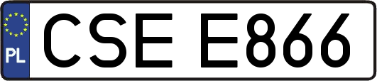 CSEE866