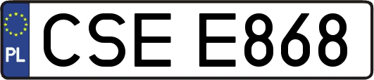 CSEE868