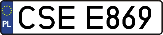 CSEE869
