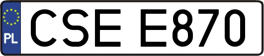 CSEE870