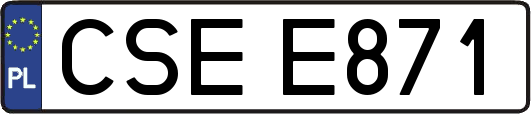 CSEE871