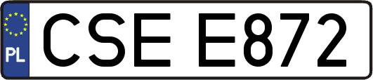 CSEE872