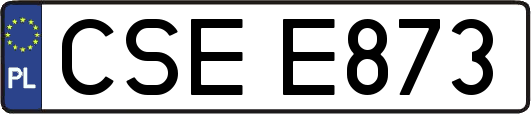 CSEE873
