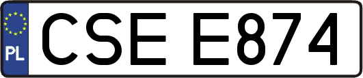 CSEE874