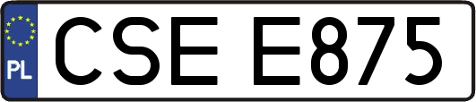 CSEE875