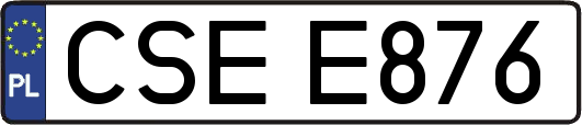 CSEE876