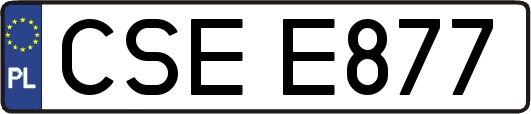 CSEE877