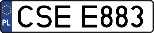 CSEE883