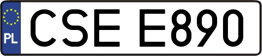 CSEE890