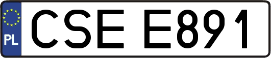 CSEE891