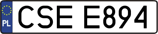 CSEE894