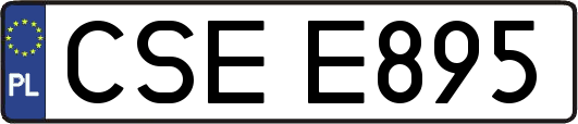 CSEE895