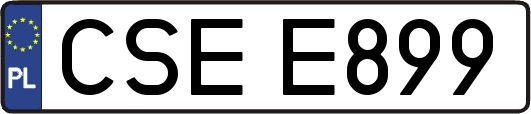 CSEE899