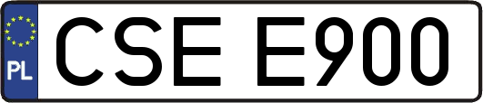 CSEE900