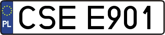 CSEE901