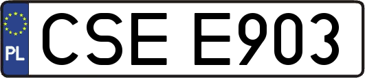 CSEE903