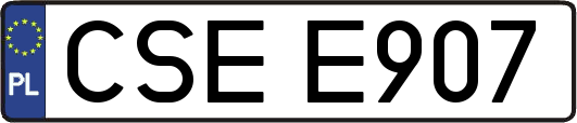 CSEE907