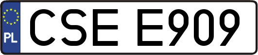 CSEE909