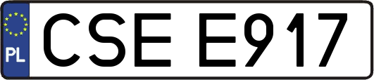 CSEE917