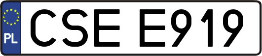 CSEE919