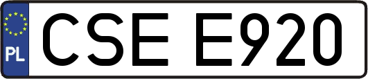 CSEE920