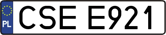CSEE921