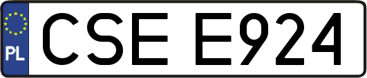 CSEE924