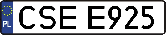 CSEE925
