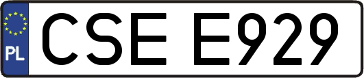 CSEE929