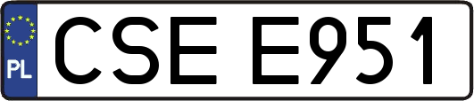 CSEE951