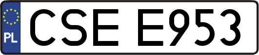 CSEE953