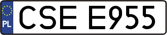 CSEE955