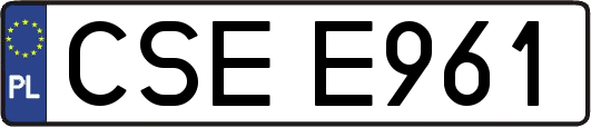 CSEE961