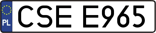 CSEE965