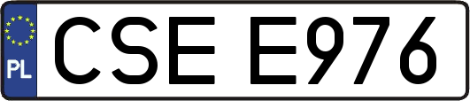 CSEE976