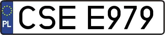CSEE979