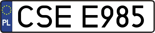 CSEE985