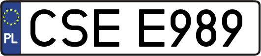 CSEE989