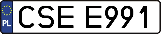 CSEE991