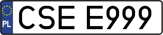 CSEE999