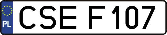 CSEF107