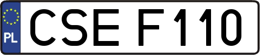 CSEF110