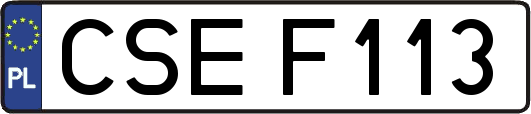 CSEF113