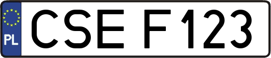 CSEF123