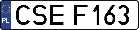 CSEF163