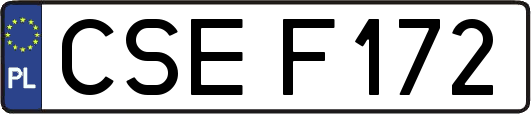 CSEF172
