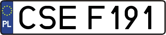 CSEF191